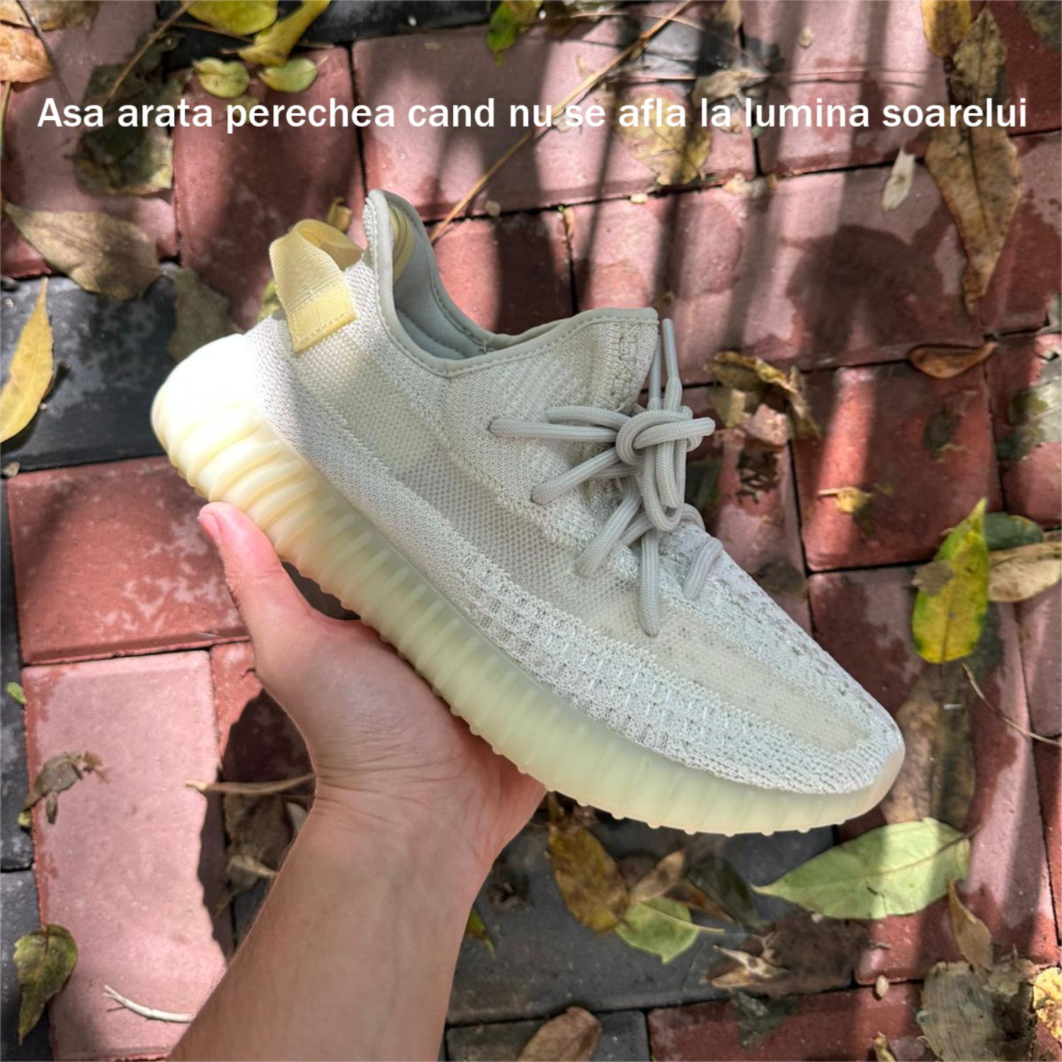 Pantofi Sport Yeezy 350 V2 Light GY3438